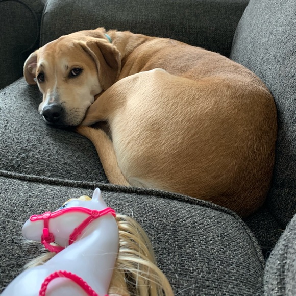 Meet your Posher, Alysa - Picture 4 of 9